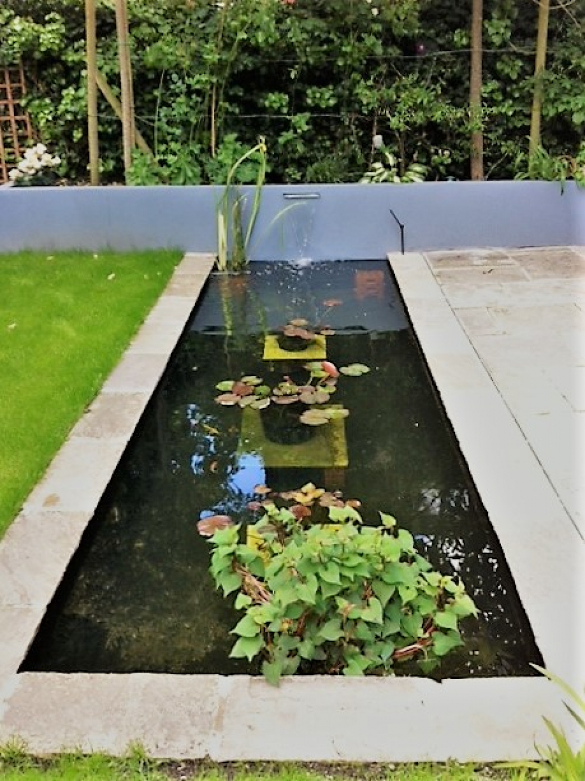 Pond, Landscaping, Patio works, Decoracus, Construction, London
